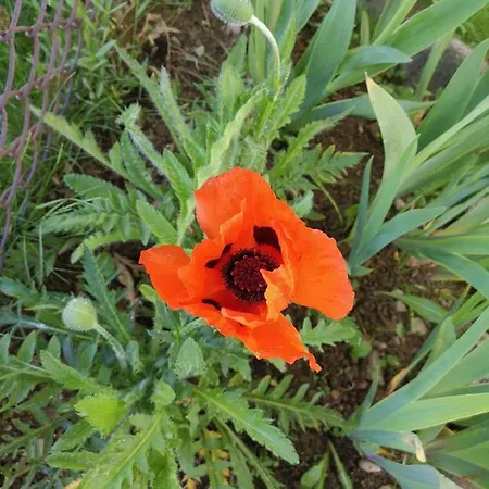 Gilowka Alloggio in famiglia